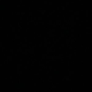 Meet your Posher, Leea